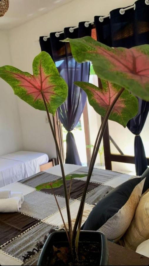 A Arca Pousada Praia de Pipa Экстерьер фото